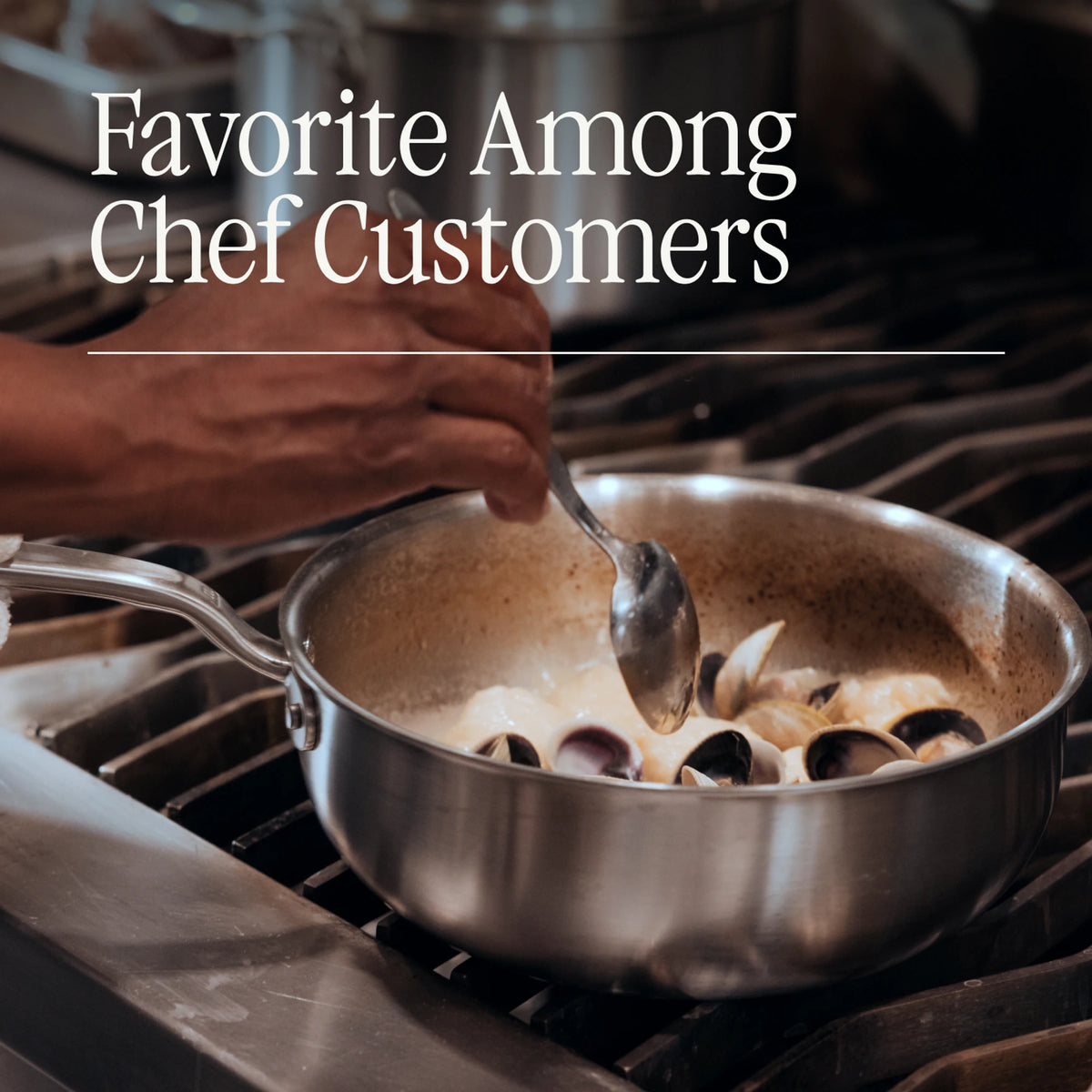 Stainless Clad Saucier
